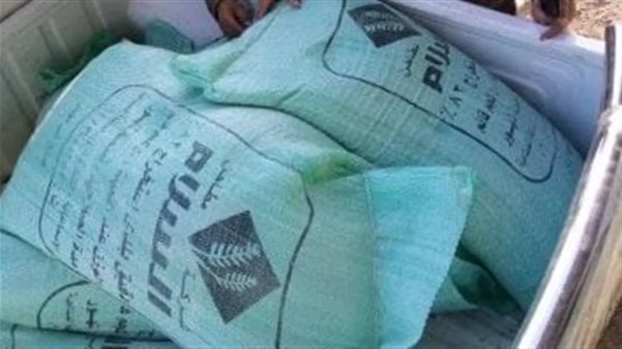 التحفظ على طن دقيق مدعم وأرز مجهول المصدر خلال حملات في القليوبية